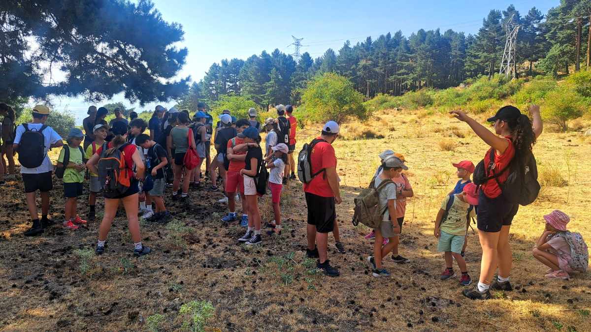 Excursion en los cursos de monitores intensivos